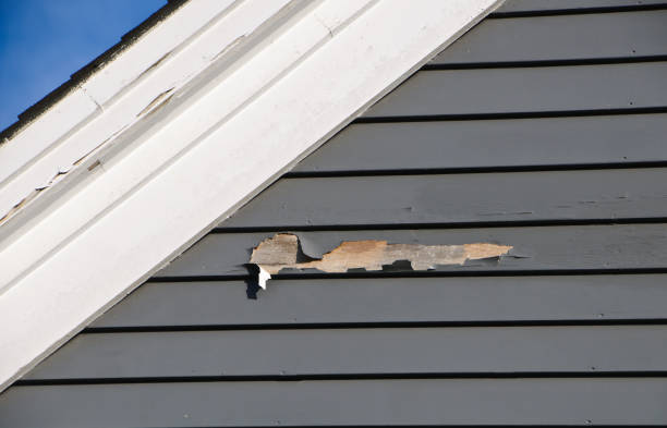 Best Siding Painting and Refinishing  in Penngrove, CA